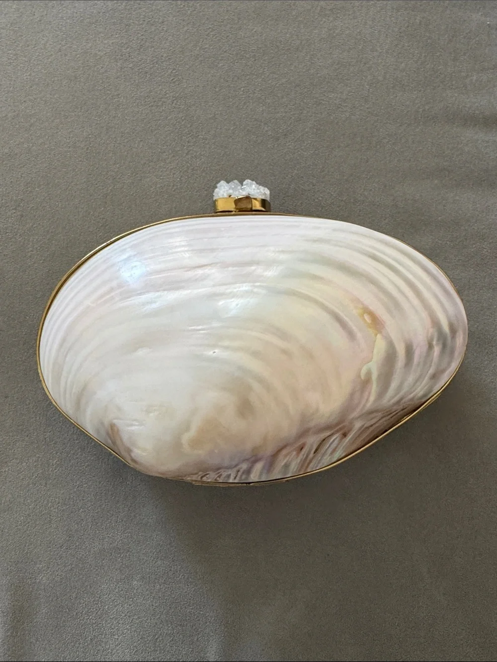Genuine Mother of Pearl Clutch Purse Abalone Quartz Chain Seashell Bag 🧜🏻‍♀️🐚